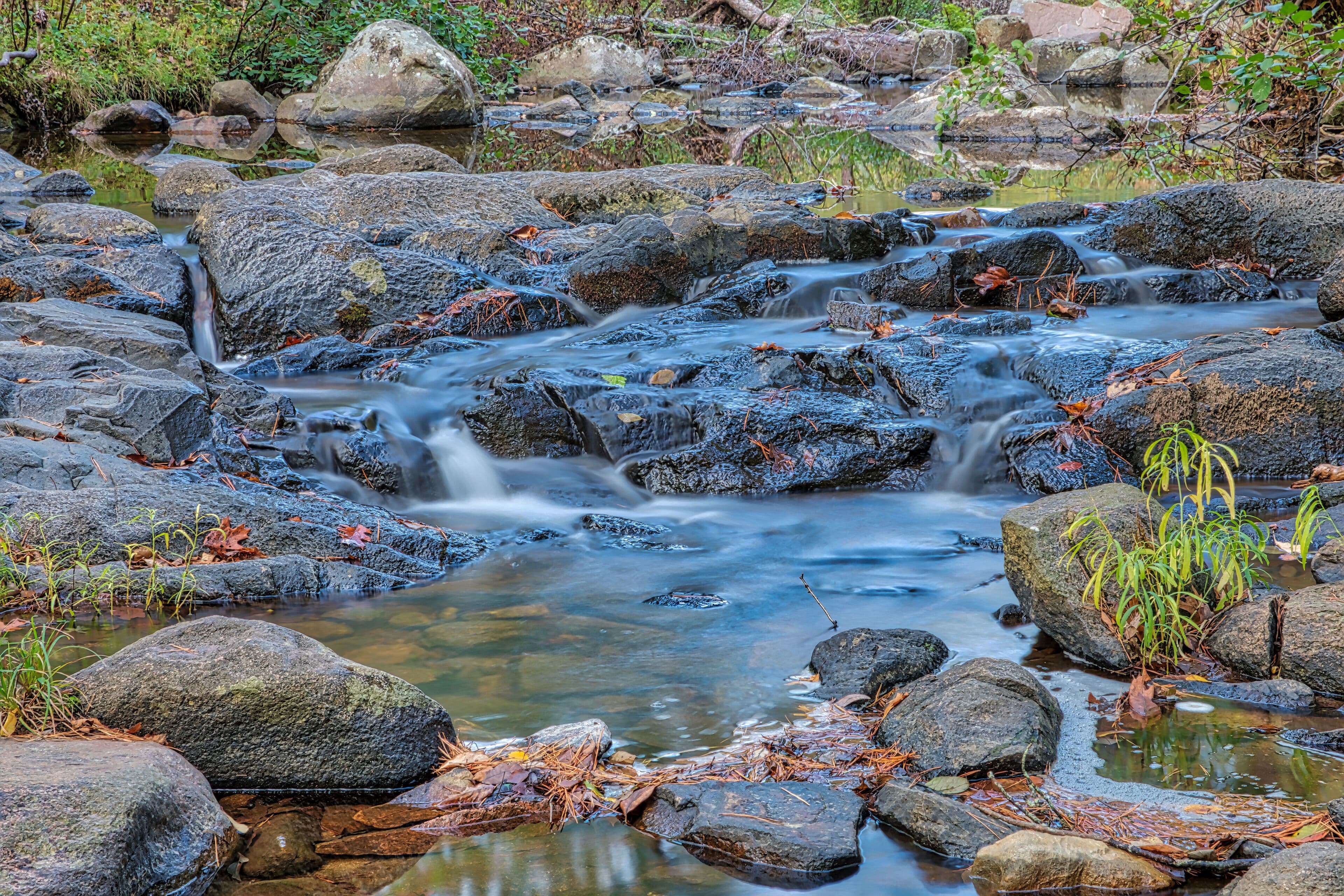 A serene stream gently flows over rocky terrain, surrounded by lush greenery and scattered autumn leaves.