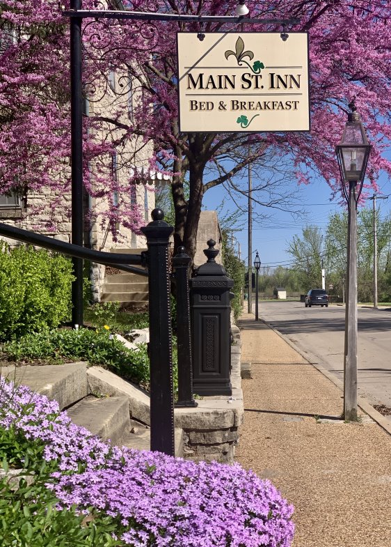 Street view with tree with pink flowers in Spring time with sign in the foreground.